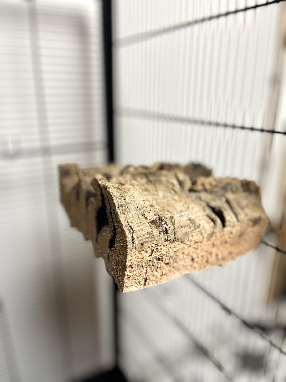 Vogelsitzbrett aus Naturkork