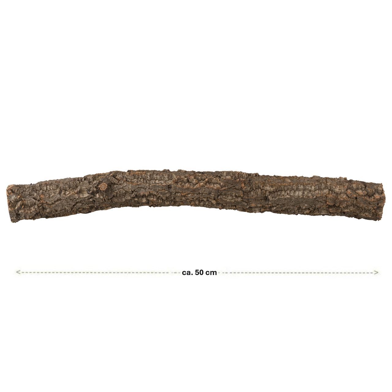 Korkast in der Länge 50 cm, für das Terrarium