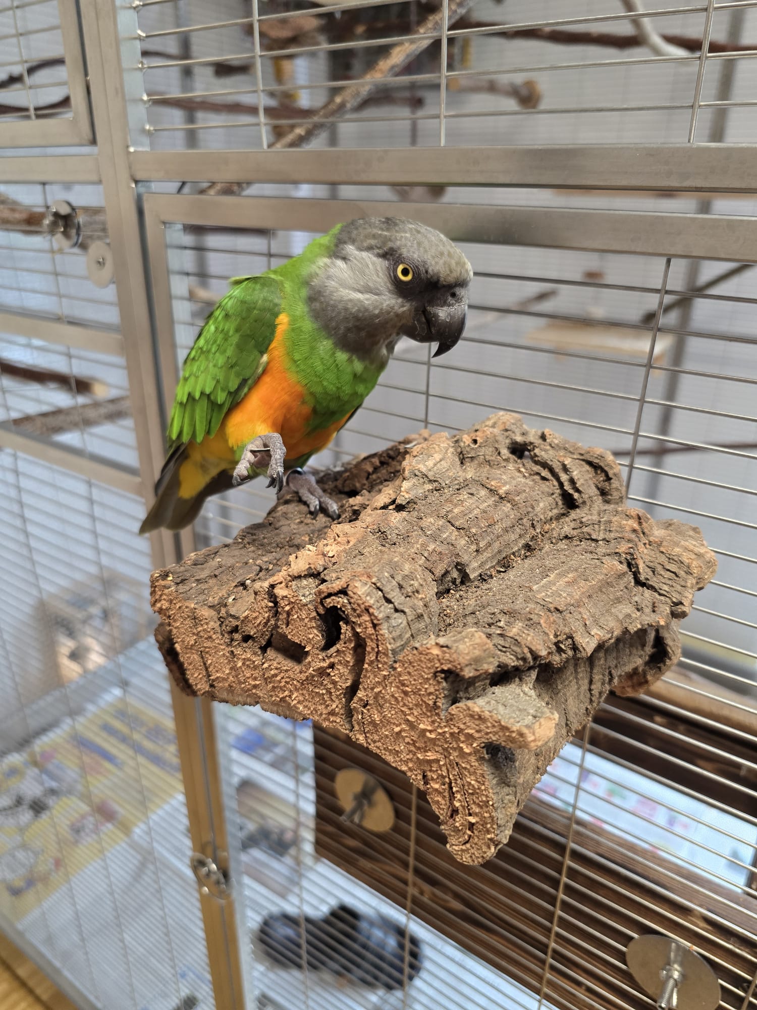 Großes Vogel-Sitzbrettchen aus Naturkork-Rinde