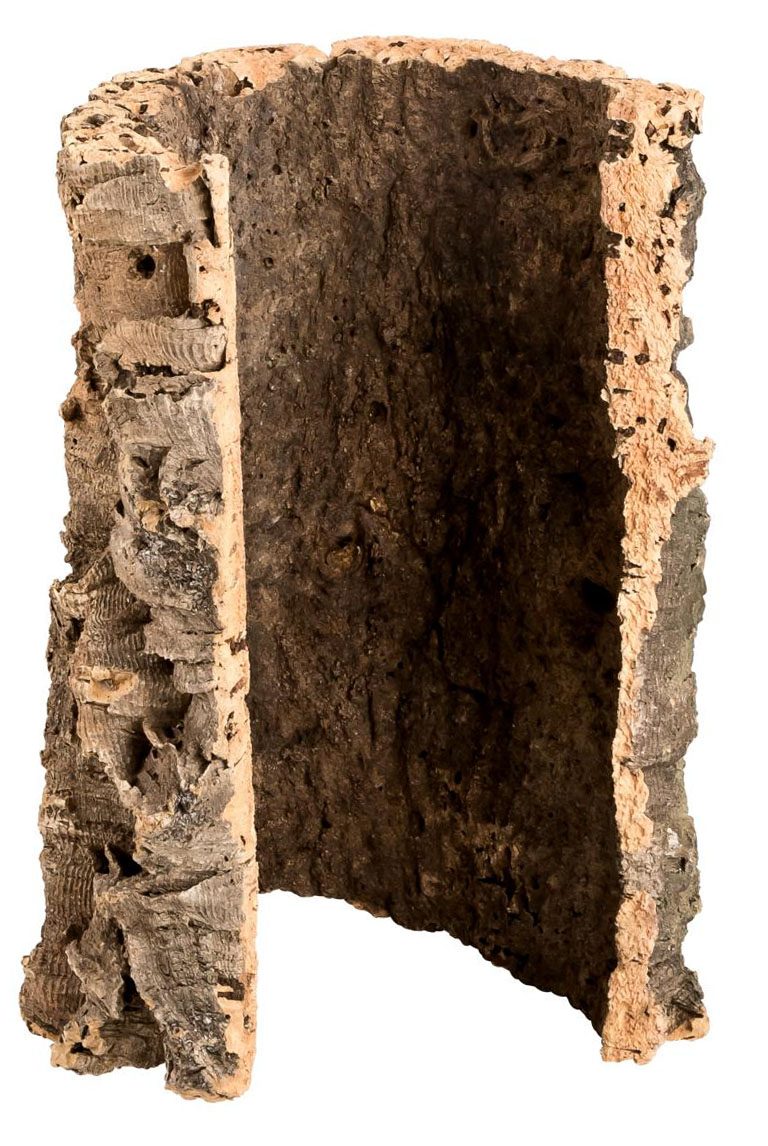 Korkröhre Korktunnel Korkhöhle für Nagetiere, Vögel und Terrarien
