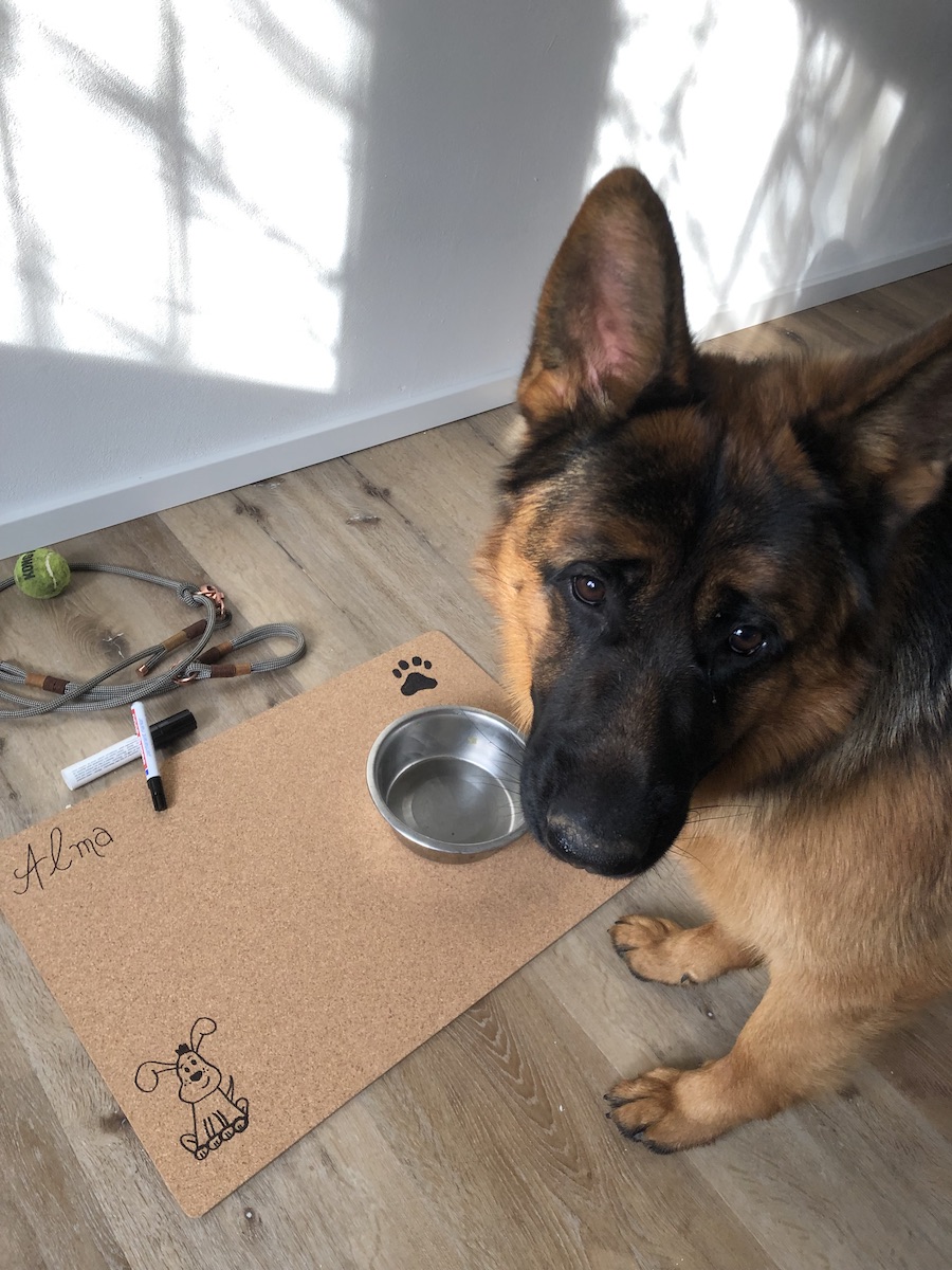 Fressnapf Unterlage für Hunde aus Kork
