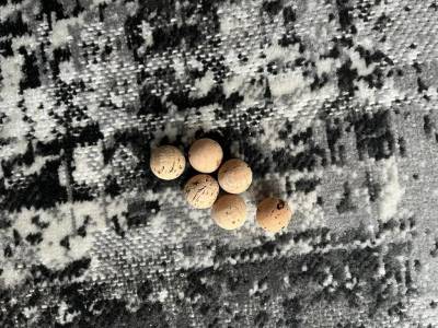 Kugeln aus Naturkork 20 mm