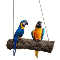 Kork-Schaukel für Papageien
